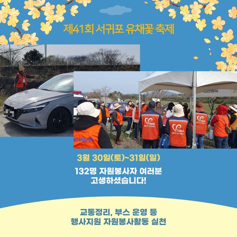 [2024.03.30.토.~03.31.일.] 제41회 서귀포 유채꽃 축제